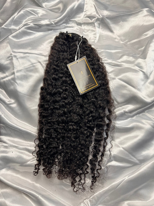 Burmese curly